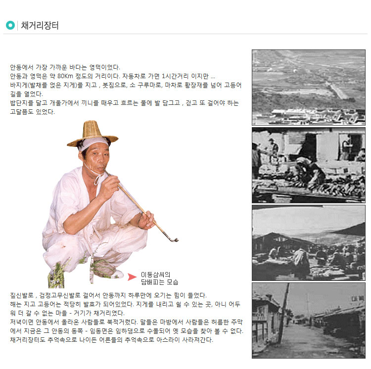 안동간고등어
